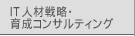 ITlސ헪E琬RTeBO